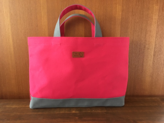 lesson bag